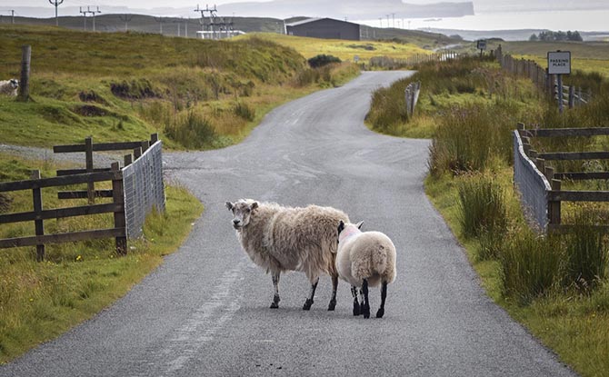 某某機械設備有限公司